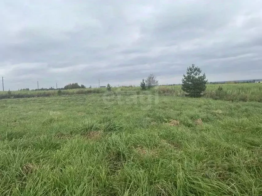 Участок в Вологодская область, пос. Васильевское  (20.0 сот.) - Фото 1