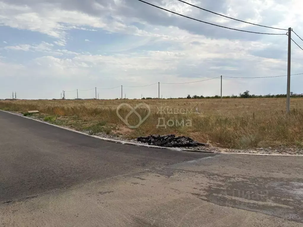 Участок в Волгоградская область, Городищенский район, Орловское с/пос, ... - Фото 1