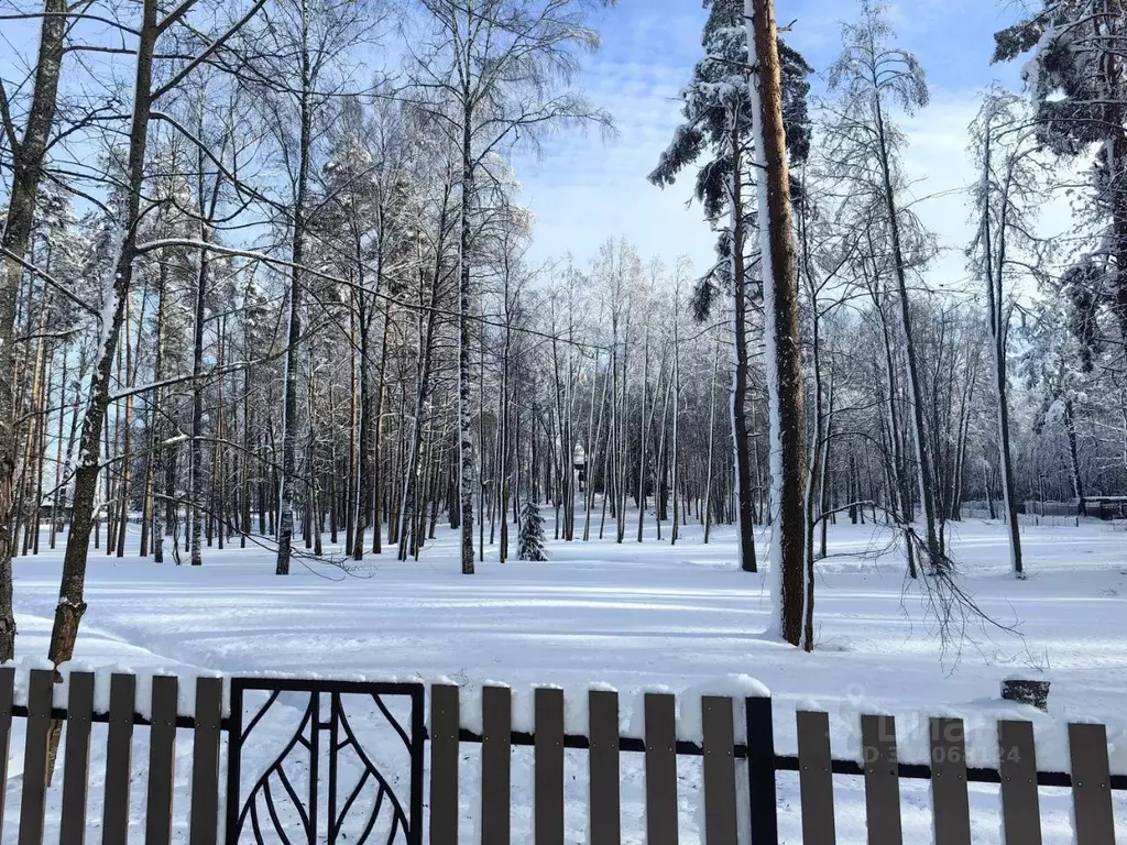 Участок в Ленинградская область, Всеволожский район, Куйвозовское ... - Фото 0