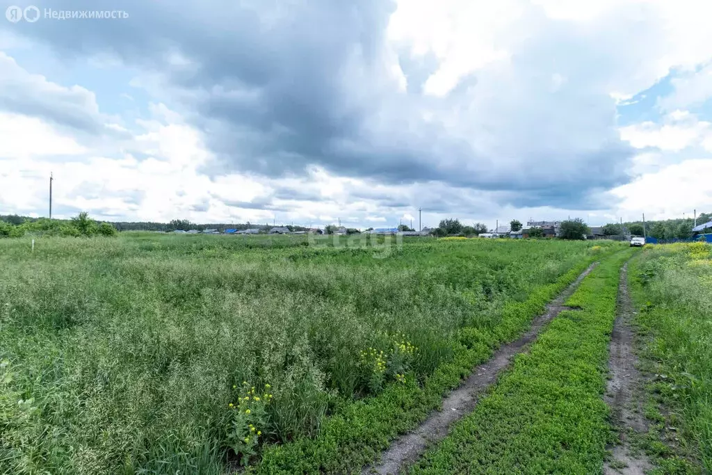 Участок в Тугулымский городской округ, деревня Гилёва, Новая улица ... - Фото 0