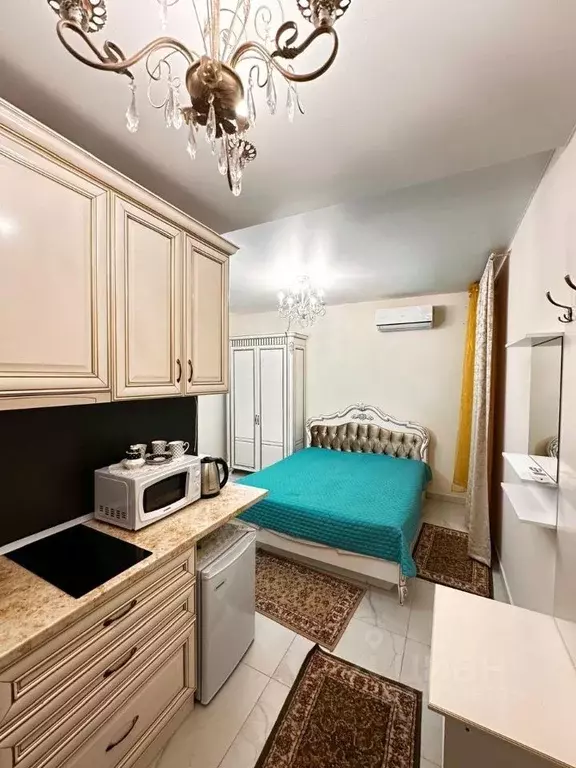 Студия Крым, Ялта ул. Володарского, 6 (25.0 м) - Фото 0