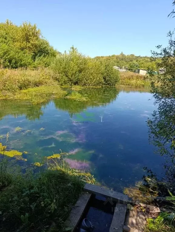 Дом в Белгородская область, Ивнянский район, Сафоновское с/пос, с. ... - Фото 1