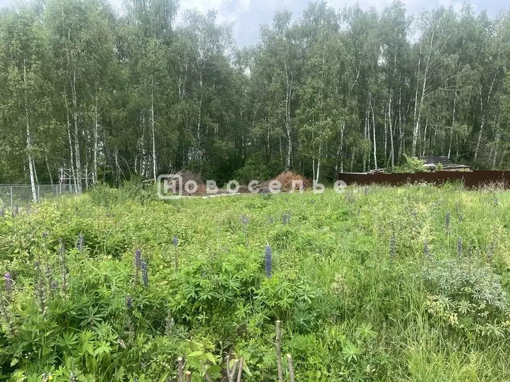 Участок в Рязанская область, Рязанский район, Окское с/пос, д. ... - Фото 0
