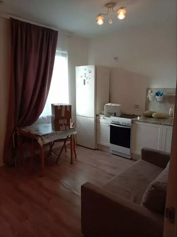 1-к кв. Санкт-Петербург ул. Чарушинская, 22к1 (25.0 м) - Фото 1