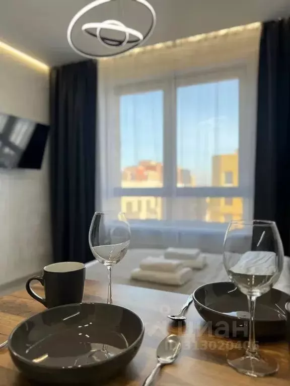 Студия Иркутская область, Иркутск ул. Эдуарда Дьяконова, 14 (24.0 м) - Фото 1