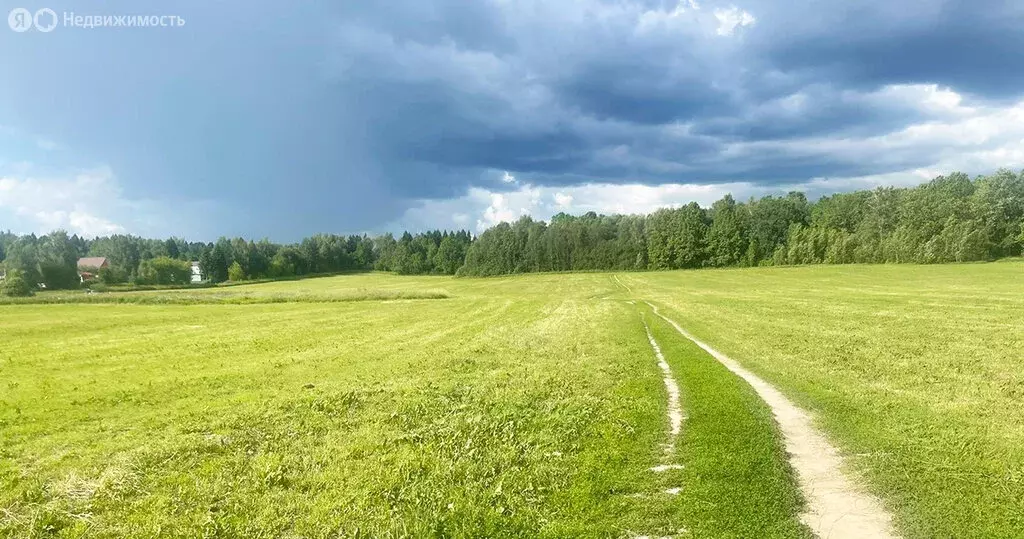 Участок в Московская область, городской округ Пушкинский, деревня ... - Фото 0