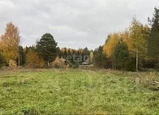 Участок в Вологодская область, Вашкинский муниципальный округ, с. ... - Фото 1