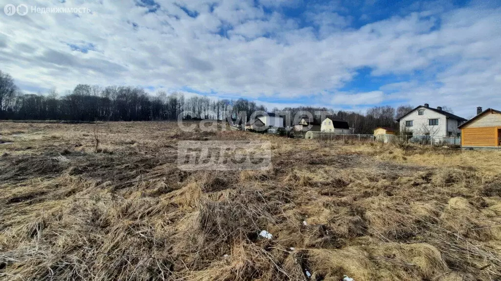 Участок в Смоленский муниципальный округ, деревня Богородицкое (10 м) - Фото 2