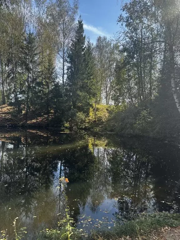 Участок в Московская область, Дмитровский городской округ, д. Сбоево ... - Фото 0