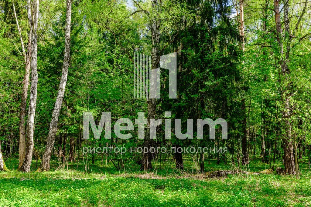 Продается участок в д. Калчуга - Фото 2