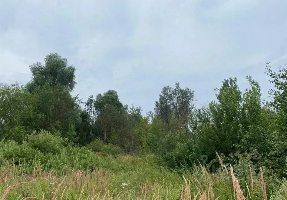 Участок в Московская область, Дмитровский муниципальный округ, д. ... - Фото 0