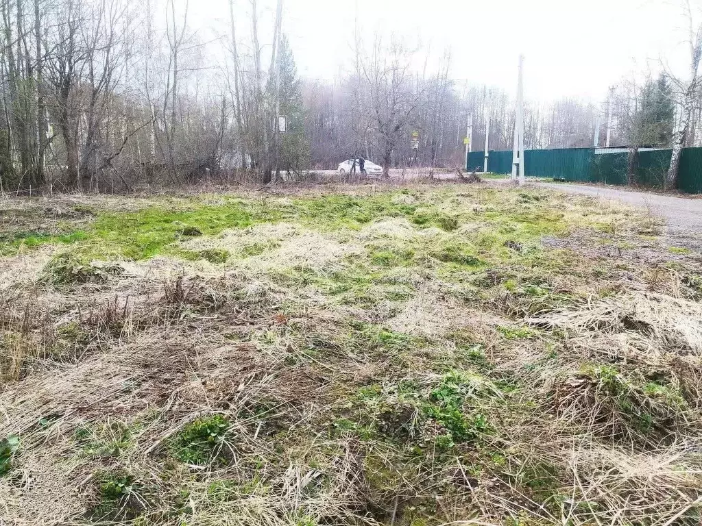 Участок в Калужская область, Перемышльский район, Большие Козлы с/пос, ... - Фото 2