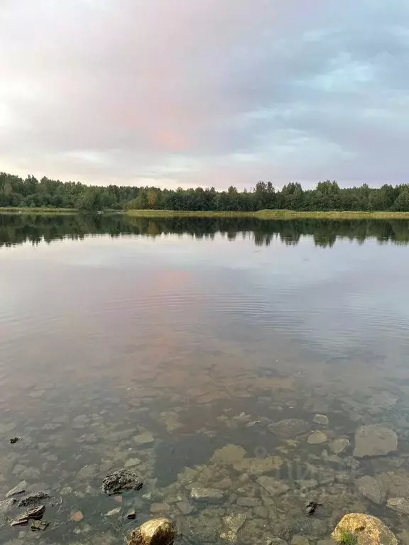 Участок в Тульская область, Ясногорский район, Иваньковское ... - Фото 0