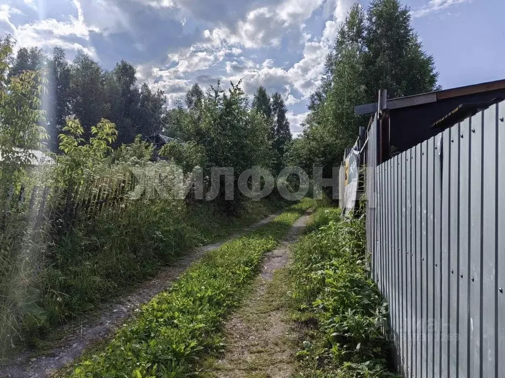 Участок в Новосибирская область, Новосибирск Ветеран СНТ,  (6.0 сот.) - Фото 1