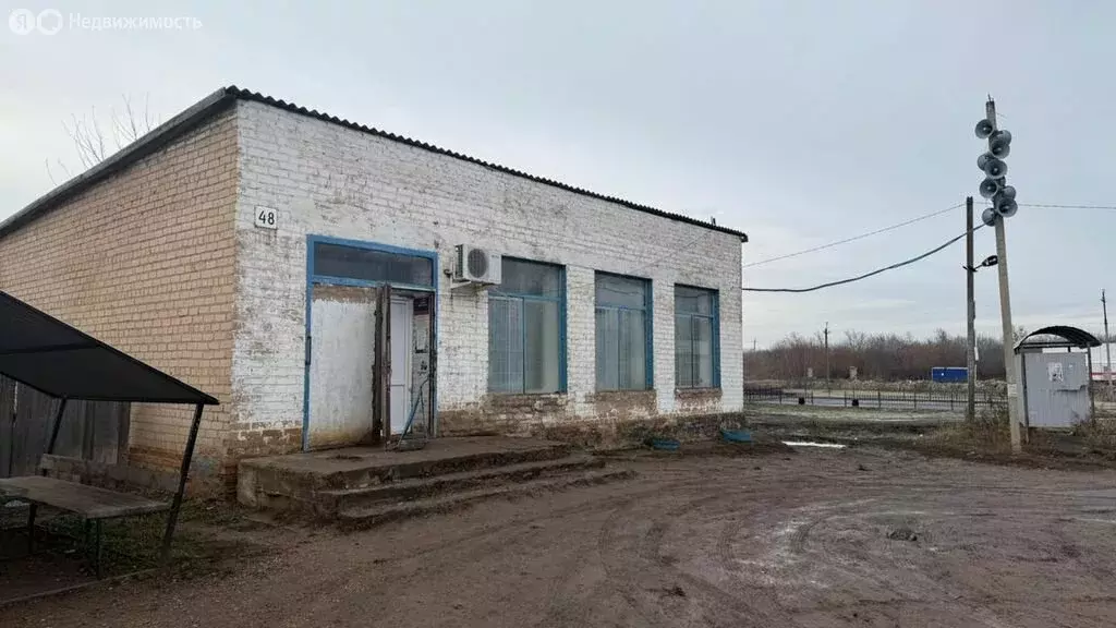 Торговая площадь (91.6 м) - Фото 2