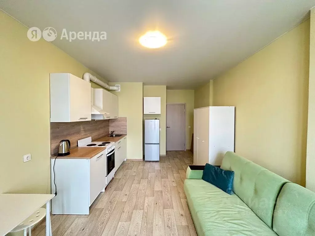 Студия Санкт-Петербург Комендантский просп., 59к1 (24.7 м) - Фото 1