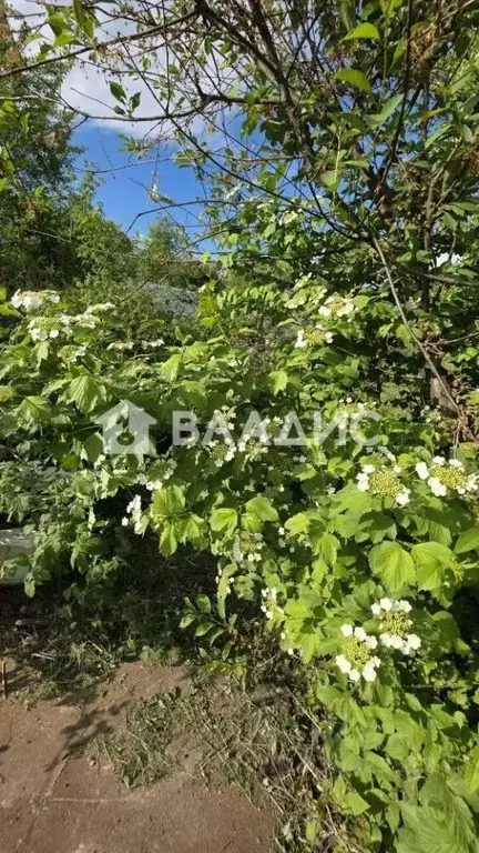Дом в Владимирская область, Владимир № 3 АО ВТЗ СНТ, 40 (39 м) - Фото 2