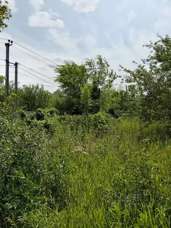 Участок в Саратовская область, Саратов  (10.0 сот.) - Фото 1