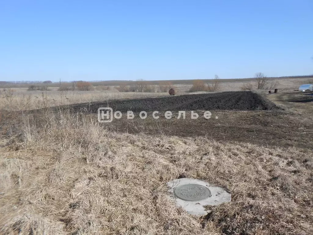 Участок в Рязанская область, Пронский район, Малинищинское с/пос, с. ... - Фото 1