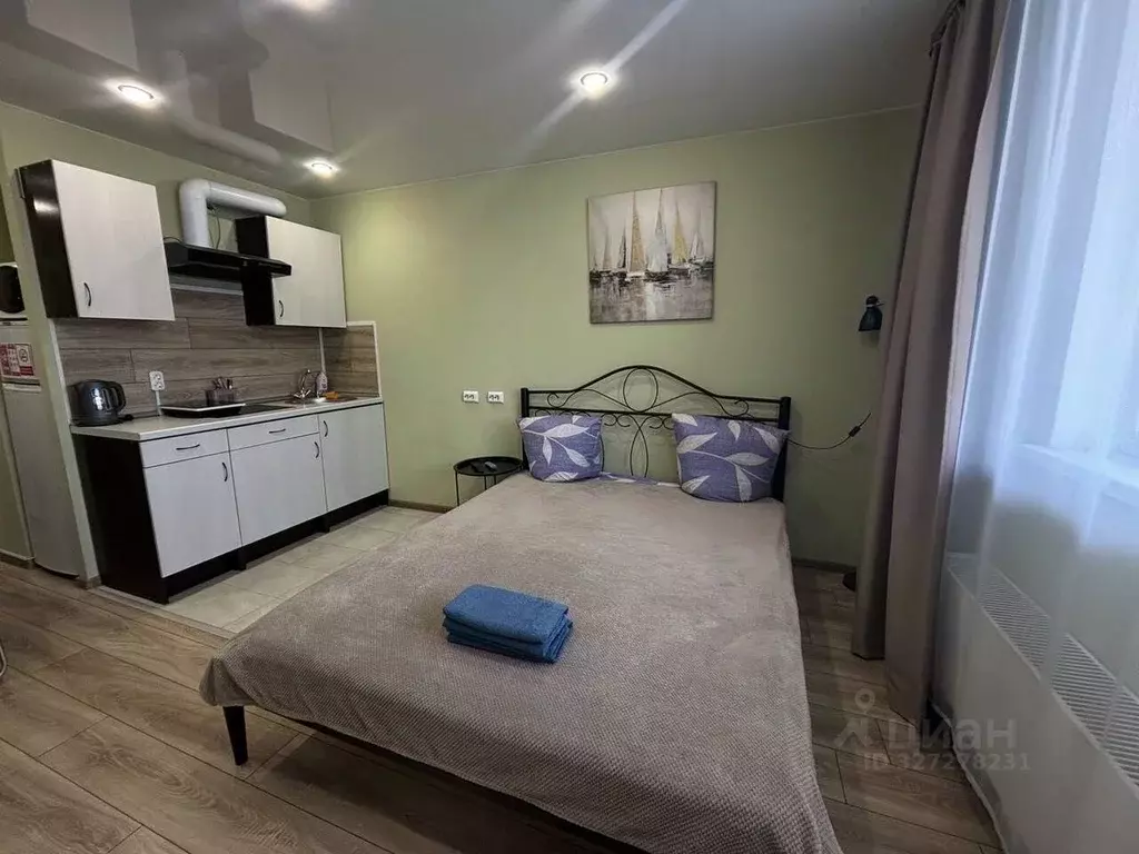 Студия Свердловская область, Екатеринбург ул. Рощинская, 27 (22.0 м) - Фото 1