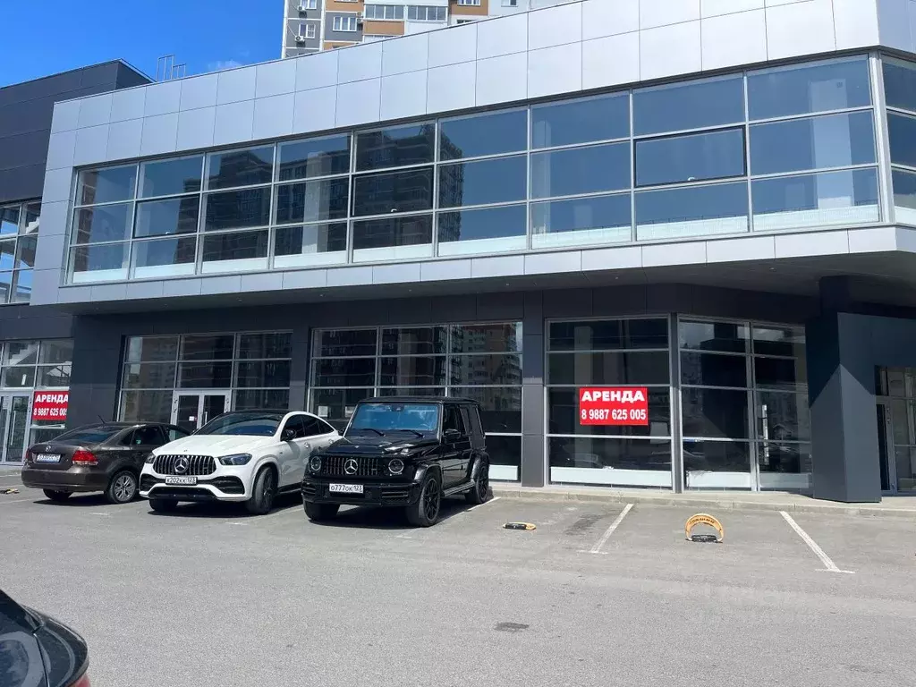 Помещение свободного назначения в Краснодарский край, Новороссийск ул. ... - Фото 1