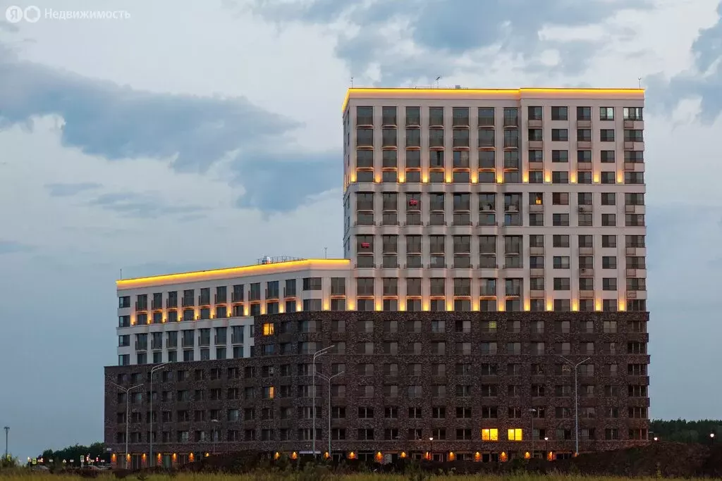 Квартира-студия: Тюмень, улица Фармана Салманова, 1 (24.6 м) - Фото 1