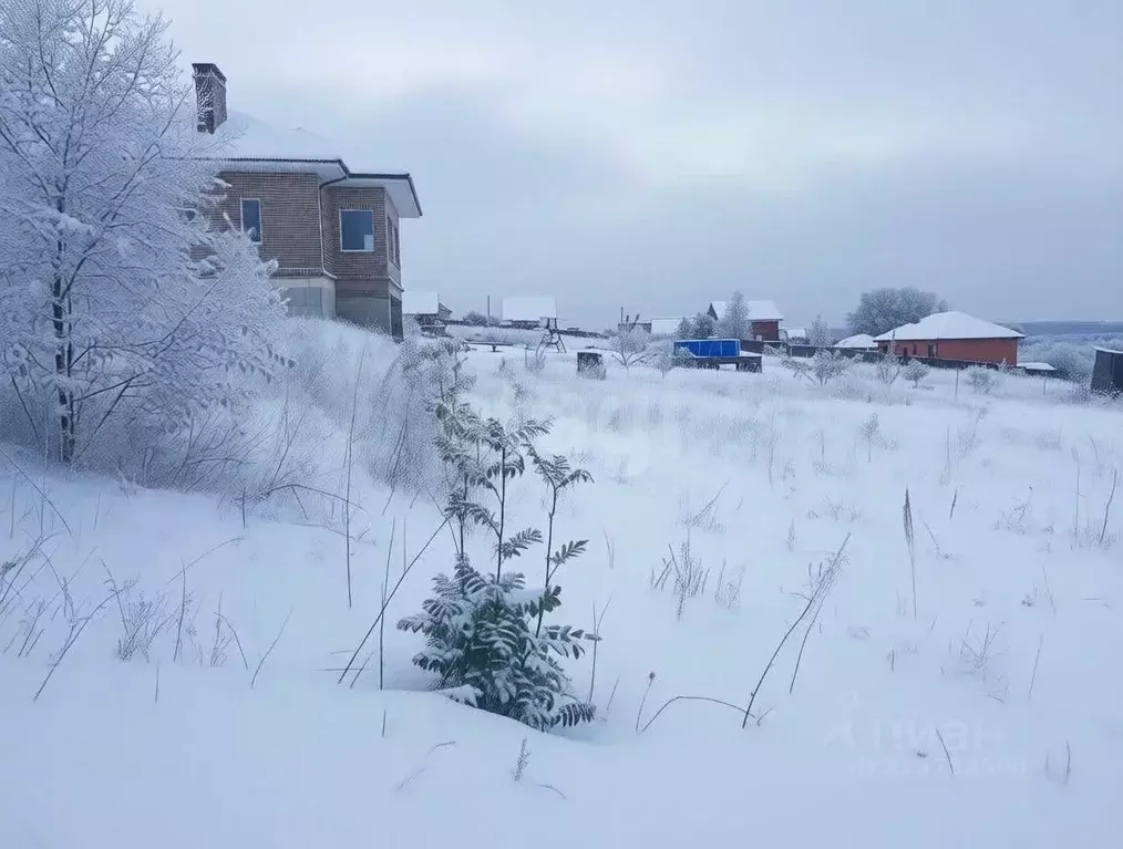 Участок в Тульская область, Тула городской округ, д. Барсуки ул. ... - Фото 1