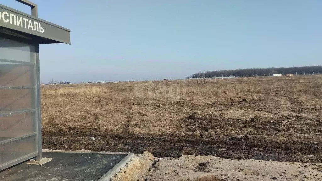 Участок в Белгородская область, Белгород ул. Виктора Лосева (15.2 ... - Фото 1