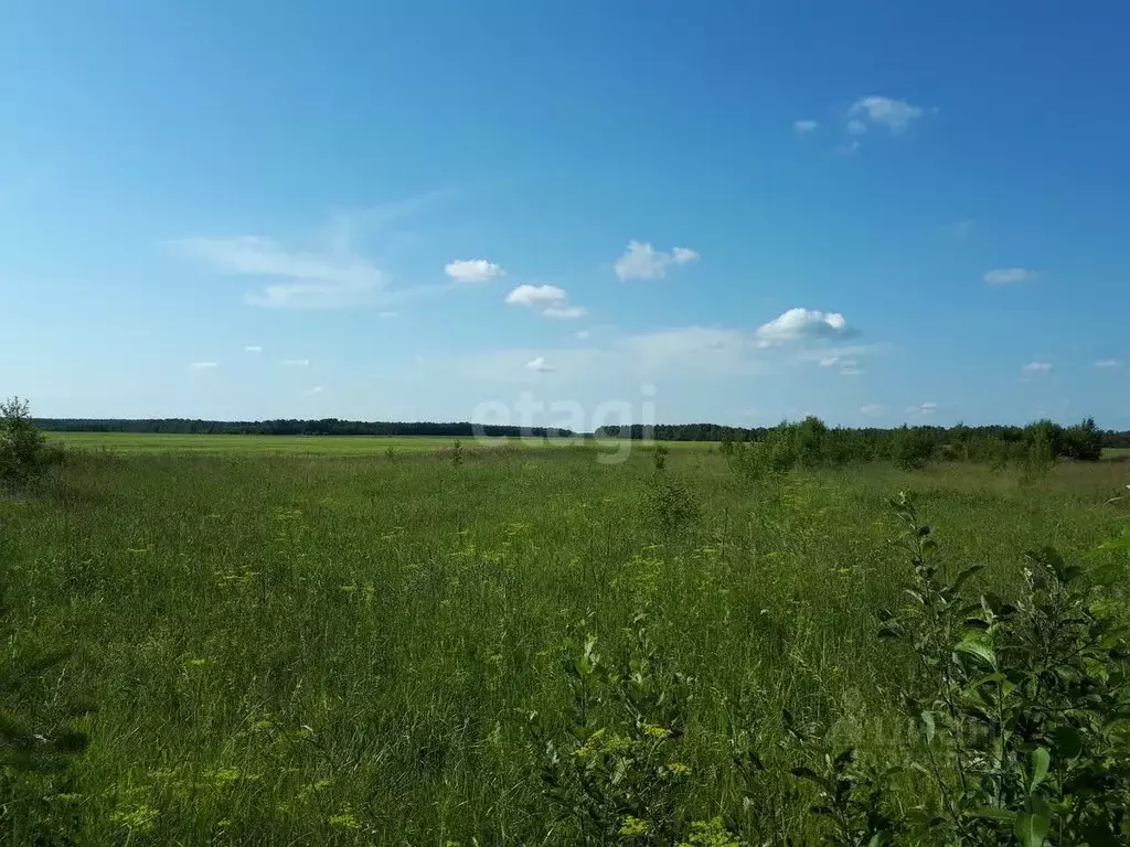 Участок в Томская область, Томский район, с. Корнилово ул. Вавилова ... - Фото 2