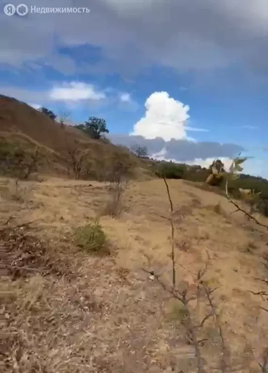 Участок в Республика Крым, муниципальный округ Алушта, село Приветное ... - Фото 1