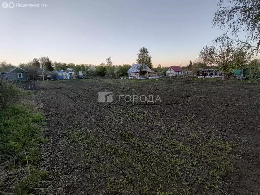 Участок в Павловский район, садовое некоммерческое товарищество Ясное ... - Фото 2