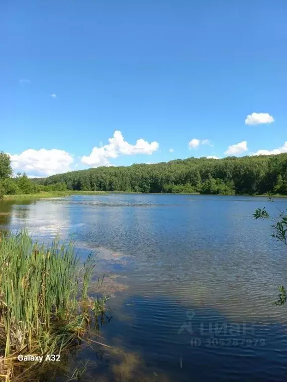 Участок в Нижегородская область, Богородский муниципальный округ, д. ... - Фото 0