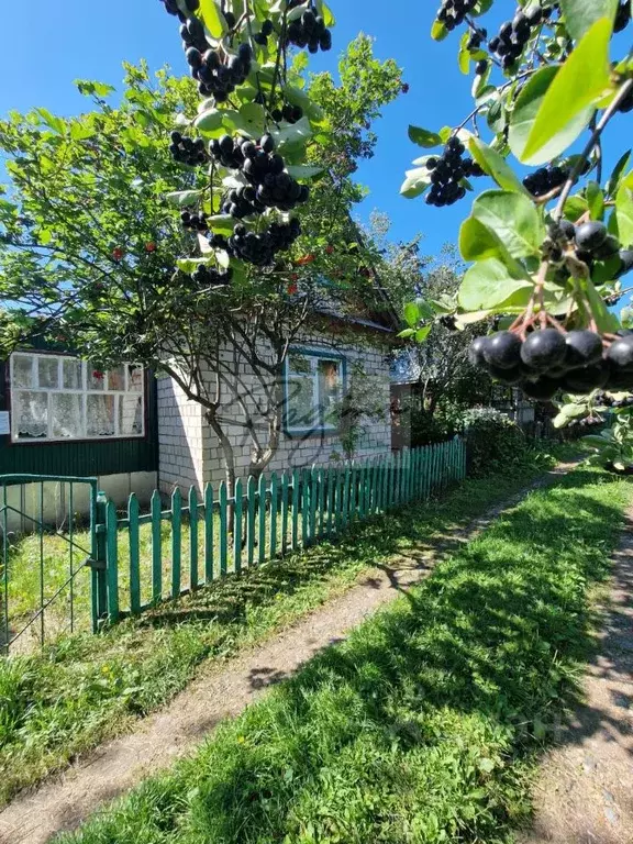 Дом в Башкортостан, Кармаскалинский район, Подлубовский сельсовет, ... - Фото 0