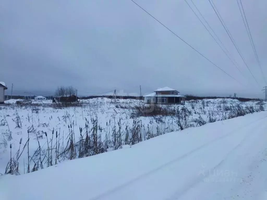 Участок в Архангельская область, Архангельск М-8 Холмогоры, 1226-й км ... - Фото 1
