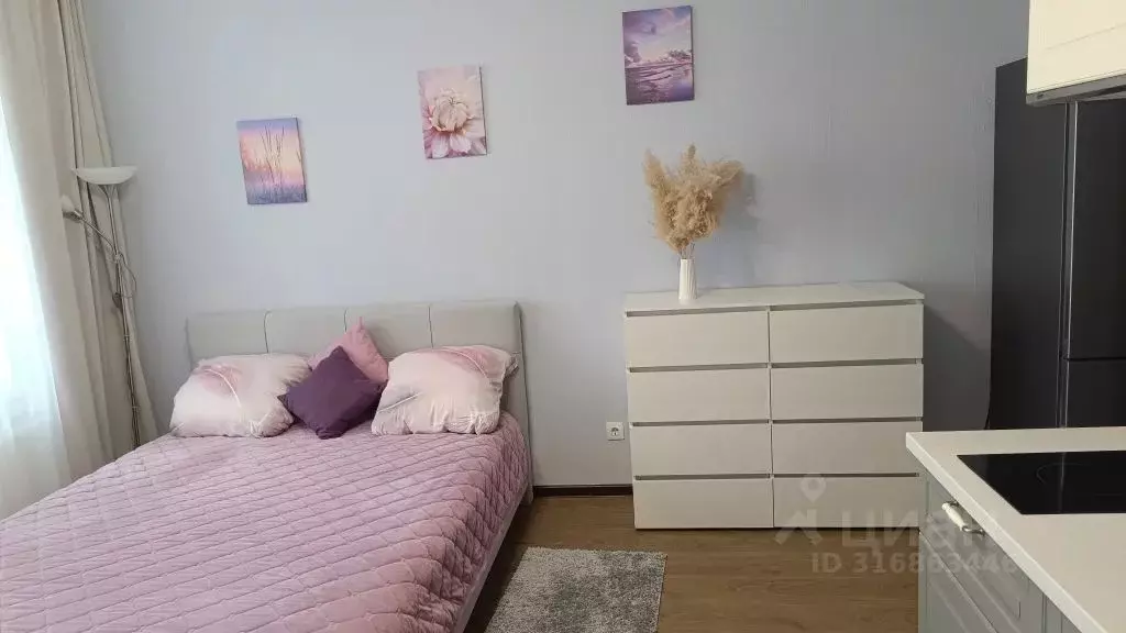 Студия Санкт-Петербург Яхтенная ул., 34 (27.0 м) - Фото 1