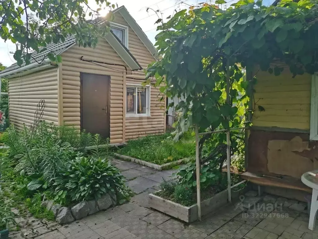 Дом в Хабаровский край, Хабаровск Амурский садовод садовое ... - Фото 1