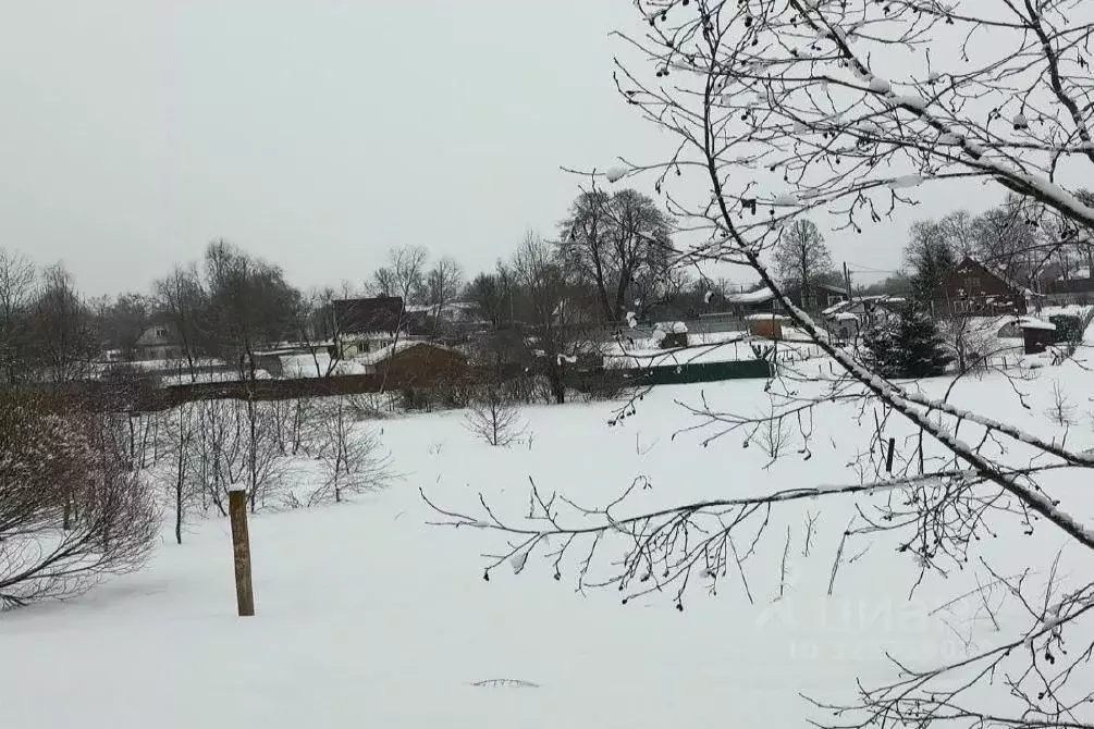 Участок в Московская область, Дмитровский муниципальный округ, с. ... - Фото 0