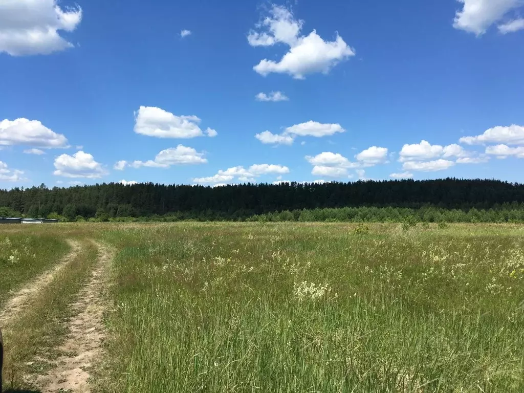 Участок в Нижегородская область, Воротынский городской округ, с. ... - Фото 0