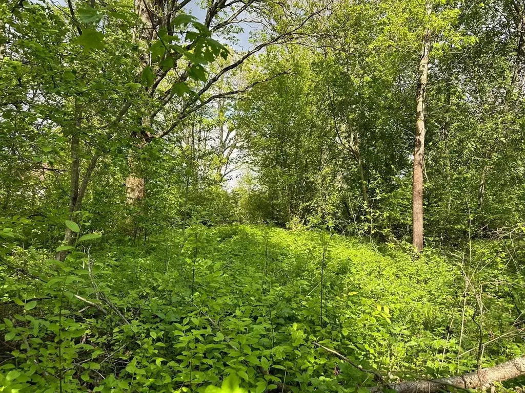 Участок в Московская область, Дмитровский городской округ, д. Удино  ... - Фото 0