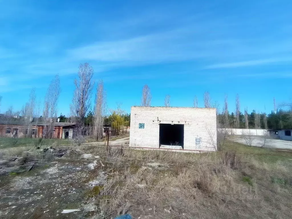 Помещение свободного назначения в Воронежская область, Нововоронеж ... - Фото 1
