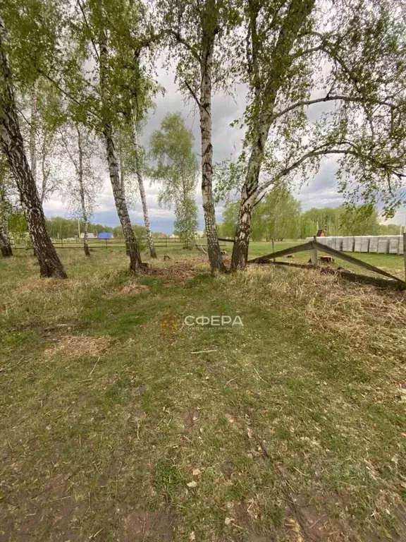 Участок в Новосибирская область, Ордынское рп ул. Малиновая, 16 (10.0 ... - Фото 2