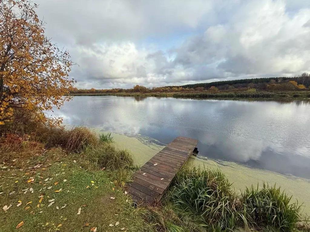 Участок в Костромская область, Красносельский район, Сидоровское с/пос ... - Фото 1