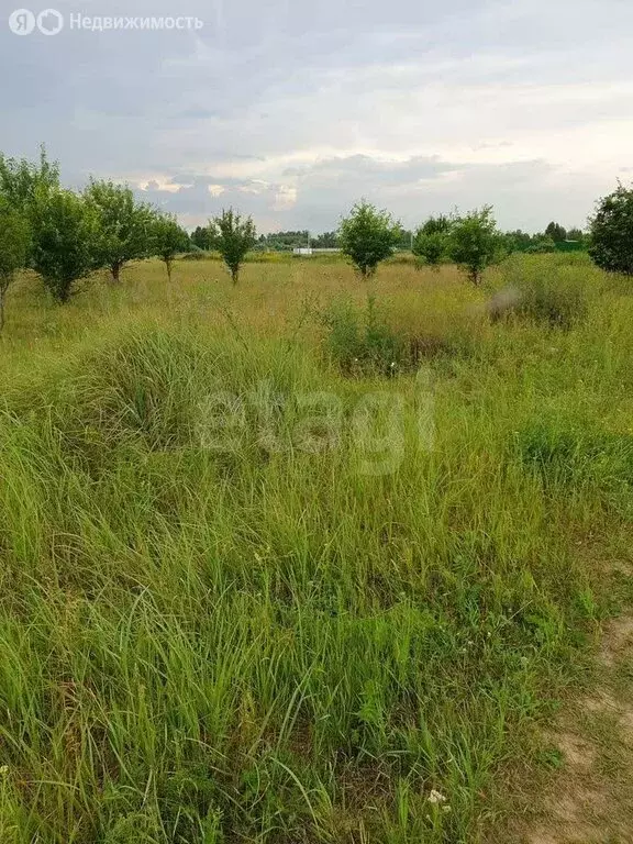 Участок в Толмачёвский сельсовет, СНТ Сибирь (12 м) - Фото 1