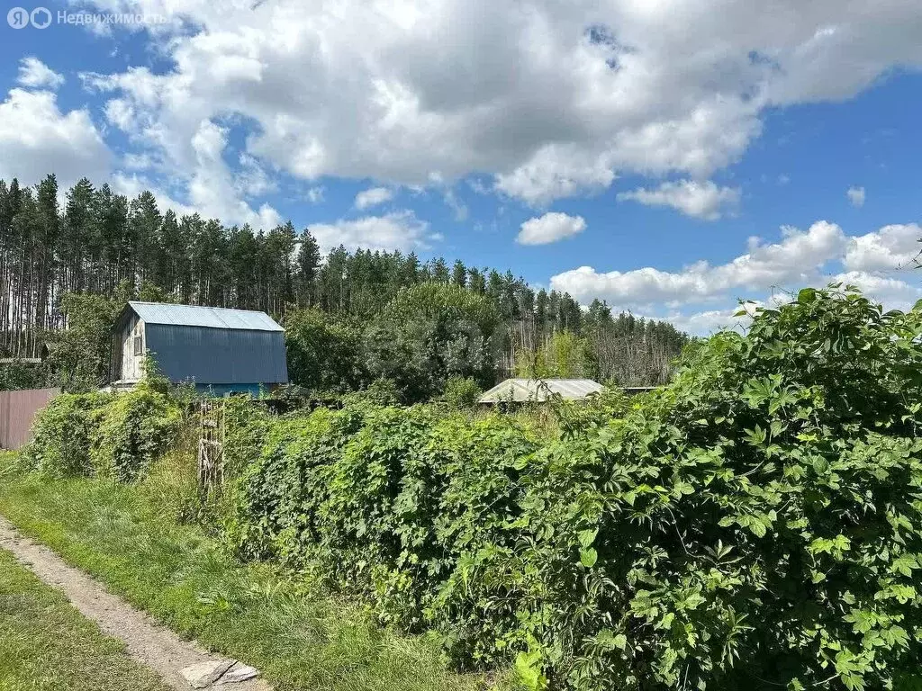Участок в Ульяновск, СНТ Сокольники, 6-я линия (5 м) - Фото 1