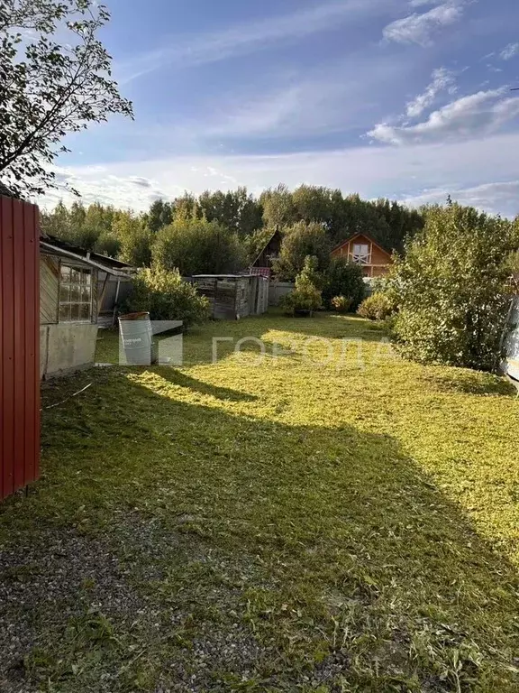 Участок в Новосибирская область, Новосибирск Золотая Горка СНТ, аллея ... - Фото 2