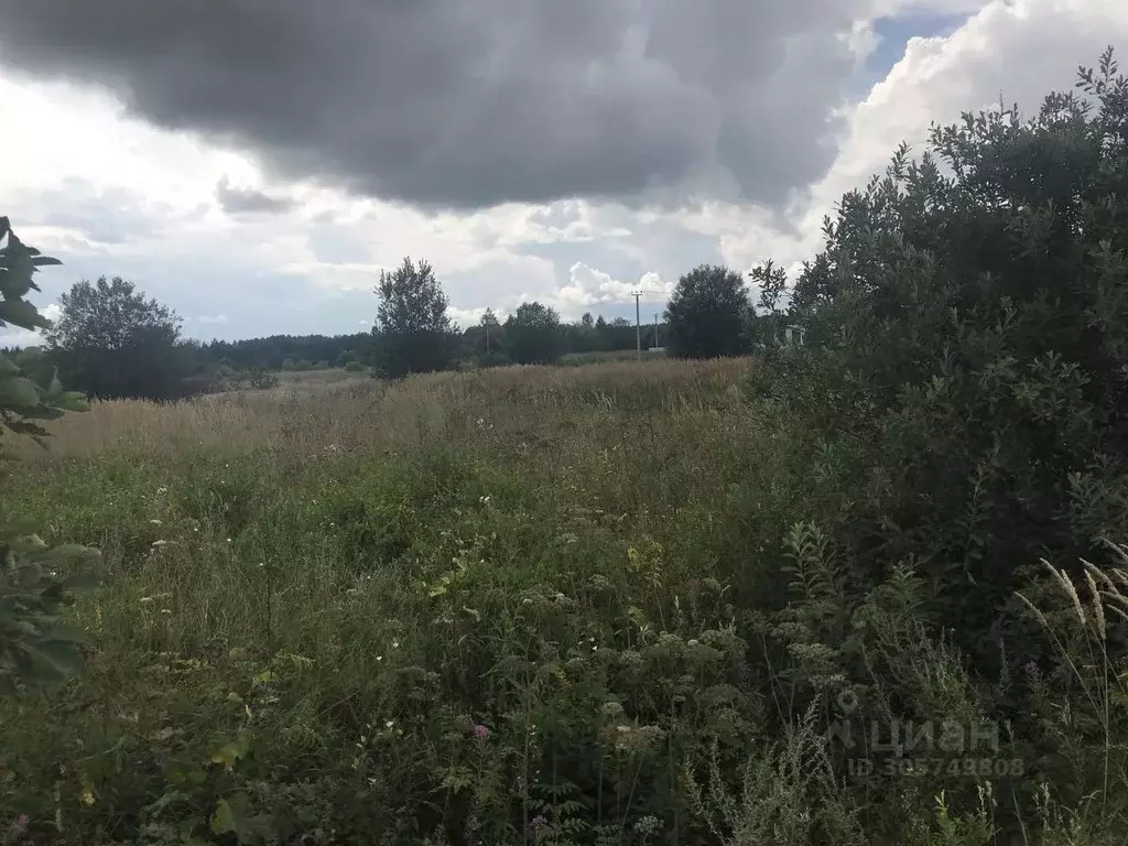 Участок в Ярославская область, Переславль-Залесский муниципальный ... - Фото 1