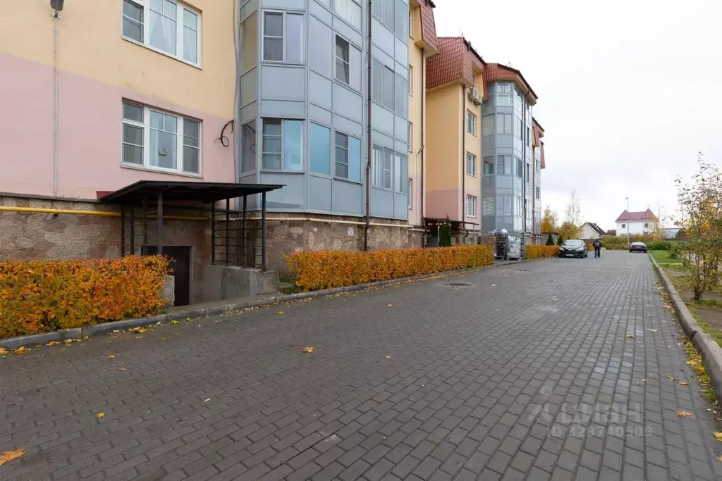 Помещение свободного назначения в Санкт-Петербург, Санкт-Петербург, ... - Фото 1