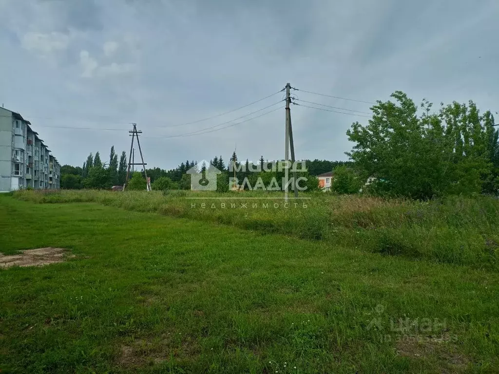 Участок в Омская область, Омский район, с. Красноярка  (8.0 сот.) - Фото 1