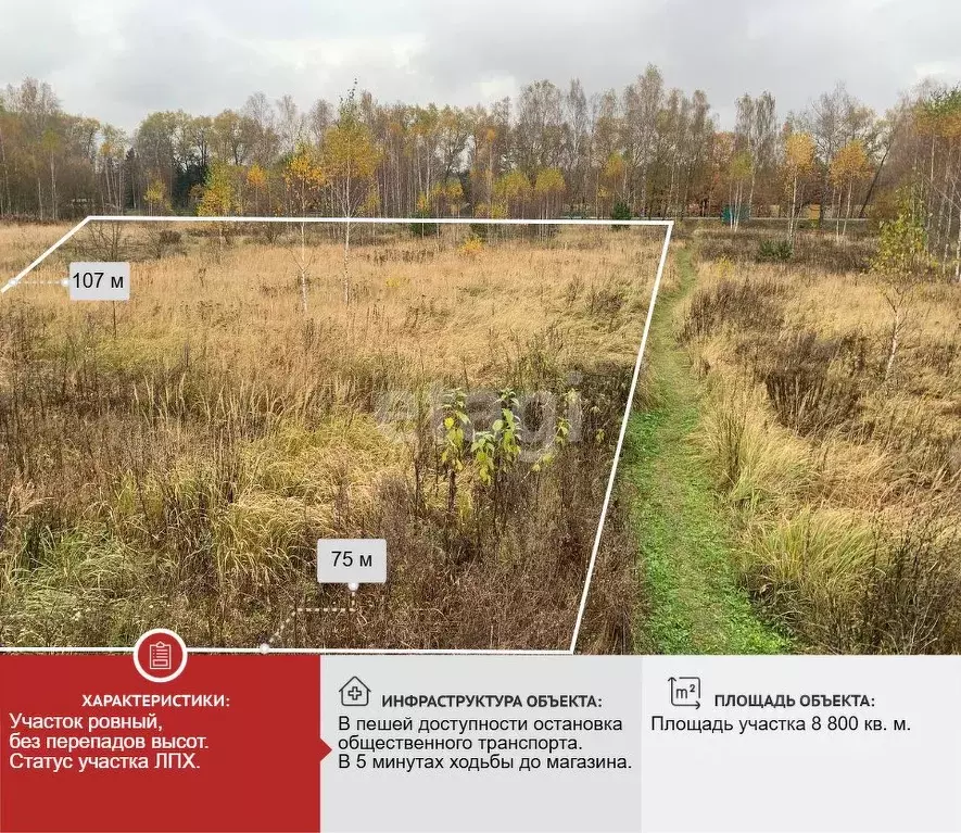 Участок в Брянская область, Выгоничский район, Хмелевское с/пос, пос. ... - Фото 1