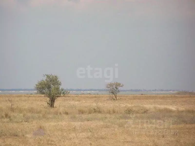 Участок в Крым, Ленинский район, Семисотское с/пос, с. Соляное ул. ... - Фото 0